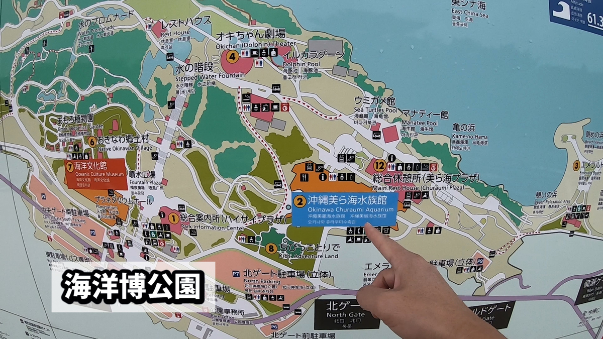 沖縄旅 ６ 海洋博公園 美ら海水族館にバスツアーで行こう 記憶旅kiokutabiのブログ