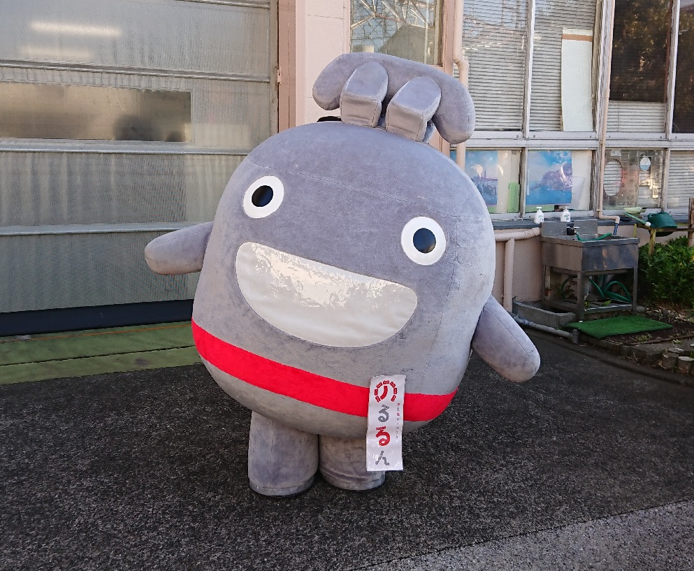 f:id:kippu-nandemoya:20191217211036j:plain