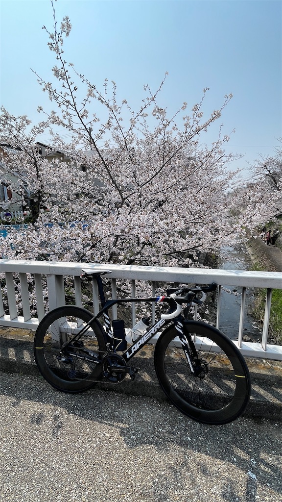 f:id:kira128:20260331132112j:image f:id:kira128:20260331132112j:image