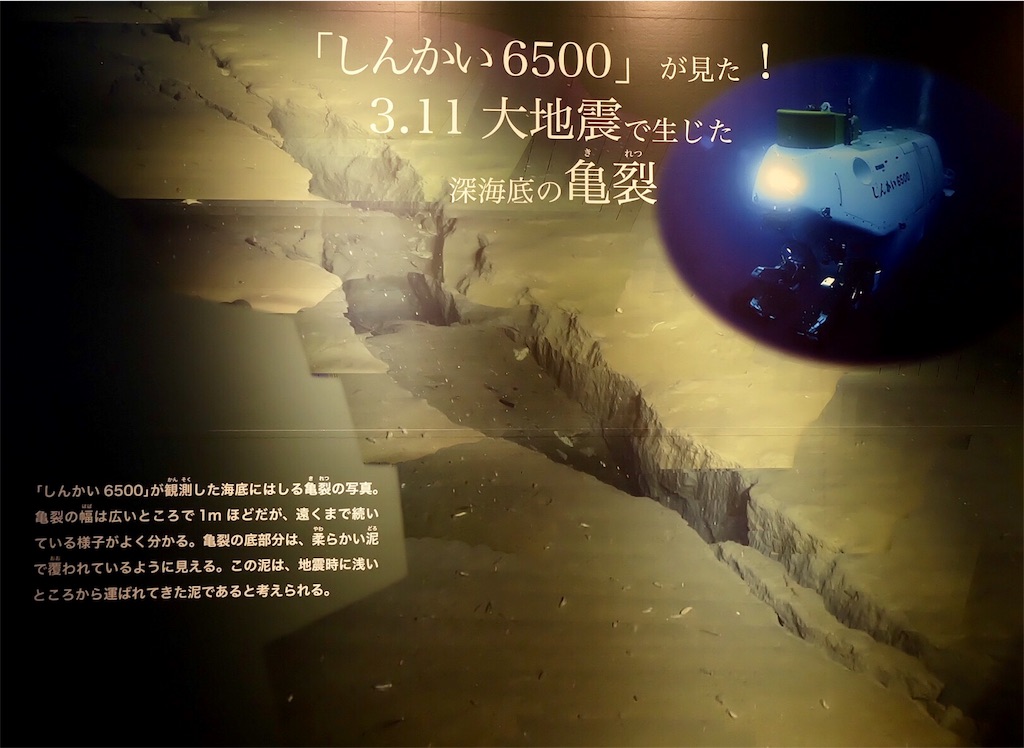 f:id:kira_kira_boshi:20170923121659j:image