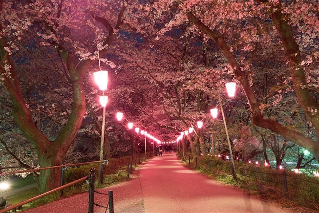 f:id:kira_kira_boshi:20180405113634j:image