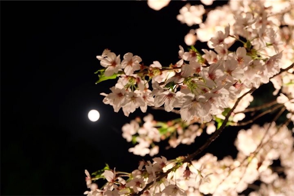 f:id:kira_kira_boshi:20180405114742j:image