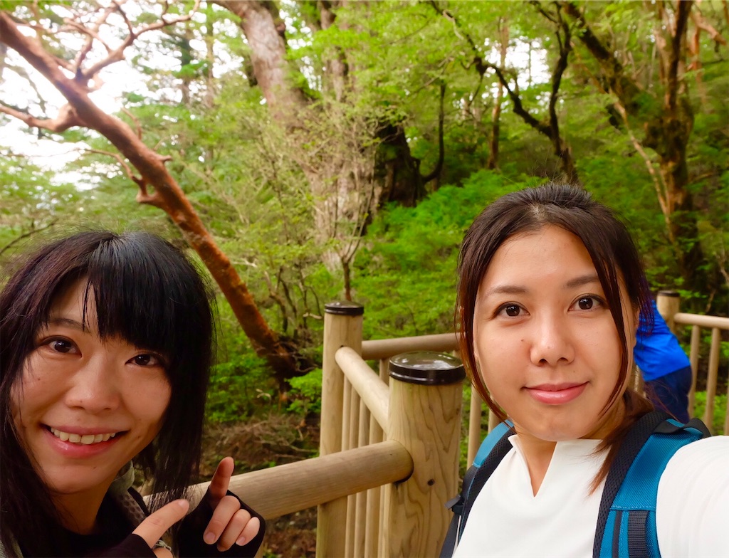 f:id:kira_kira_boshi:20181024204544j:image