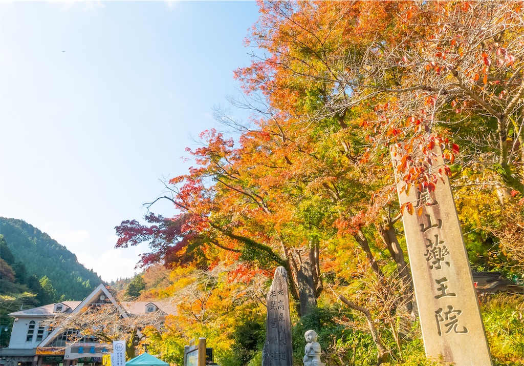 f:id:kira_kira_boshi:20181111121651j:plain