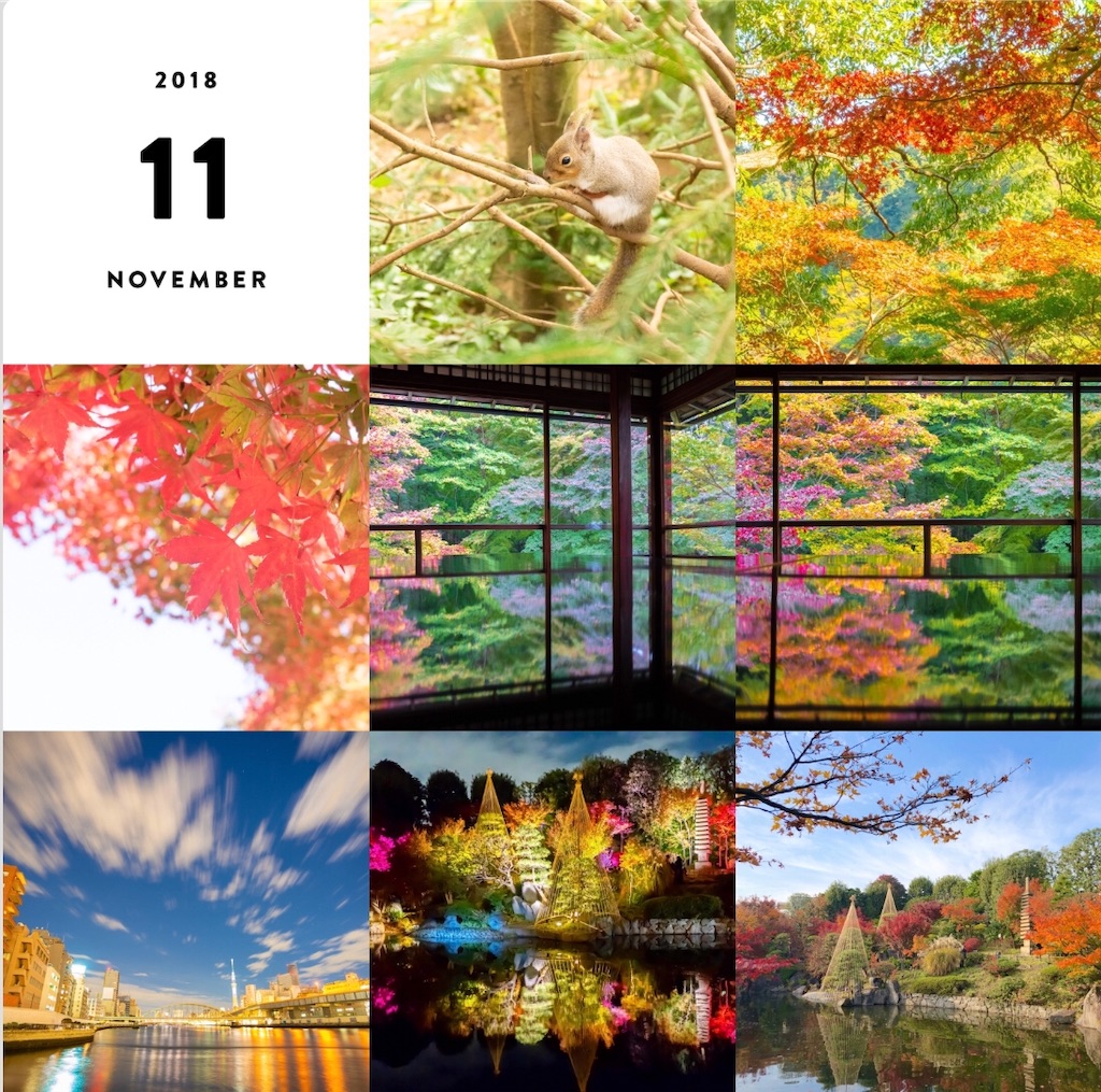 f:id:kira_kira_boshi:20181228234851j:image