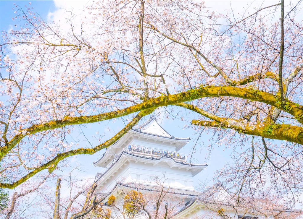 f:id:kira_kira_boshi:20190408085530j:image