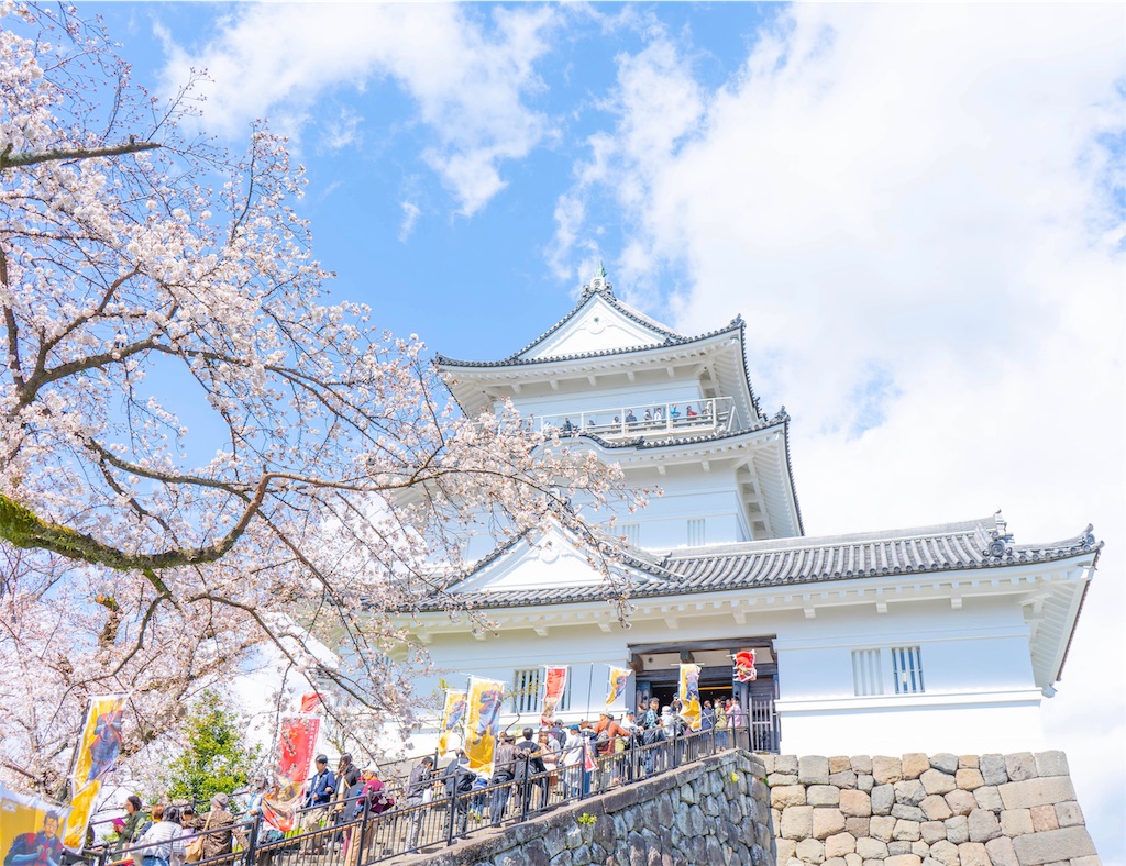 f:id:kira_kira_boshi:20190408085733j:image