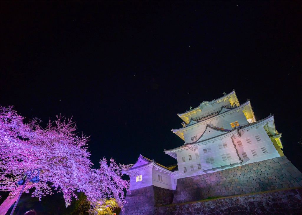 f:id:kira_kira_boshi:20190408090324j:image