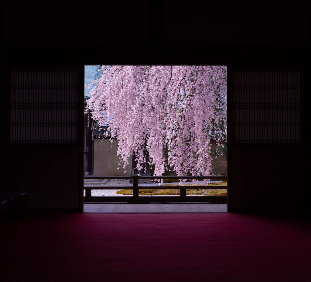 f:id:kira_kira_boshi:20190416212209j:image