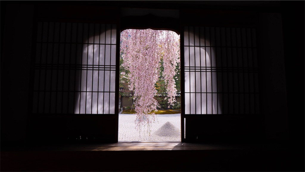 f:id:kira_kira_boshi:20190416212240j:image