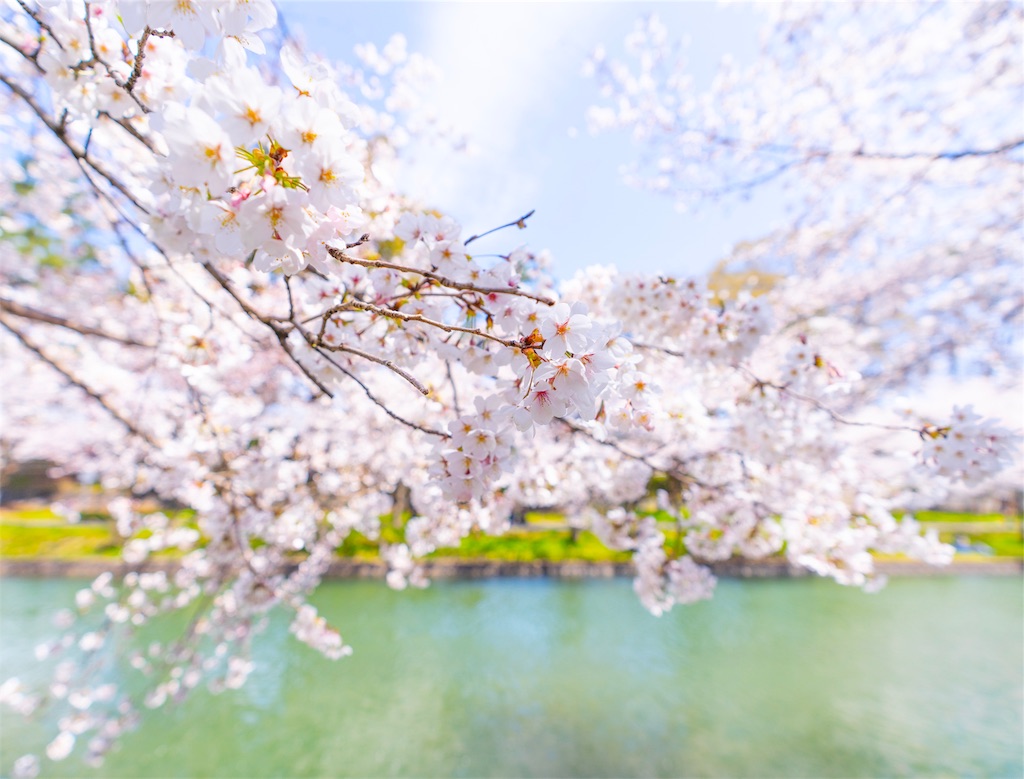 f:id:kira_kira_boshi:20190418162601j:image
