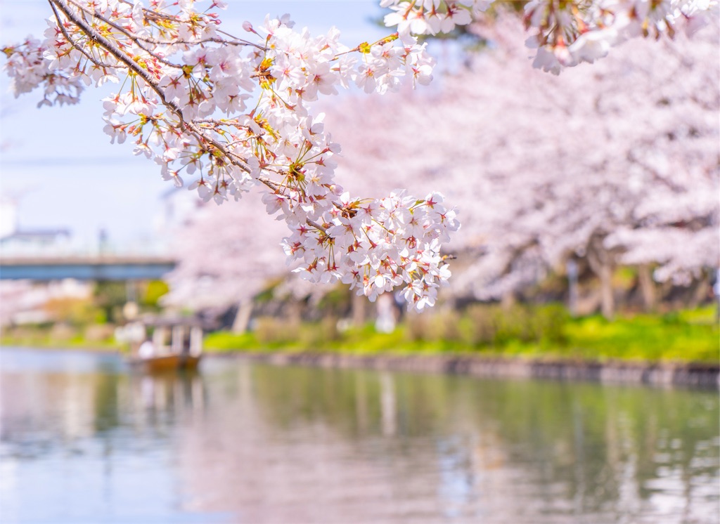 f:id:kira_kira_boshi:20190418162637j:image
