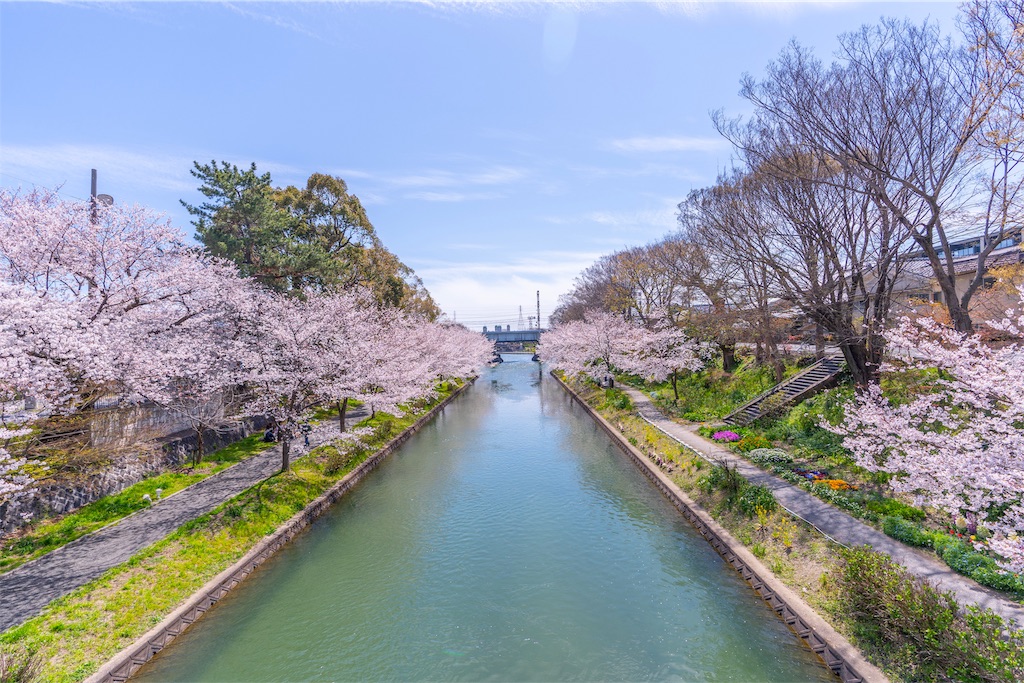 f:id:kira_kira_boshi:20190418162757j:image
