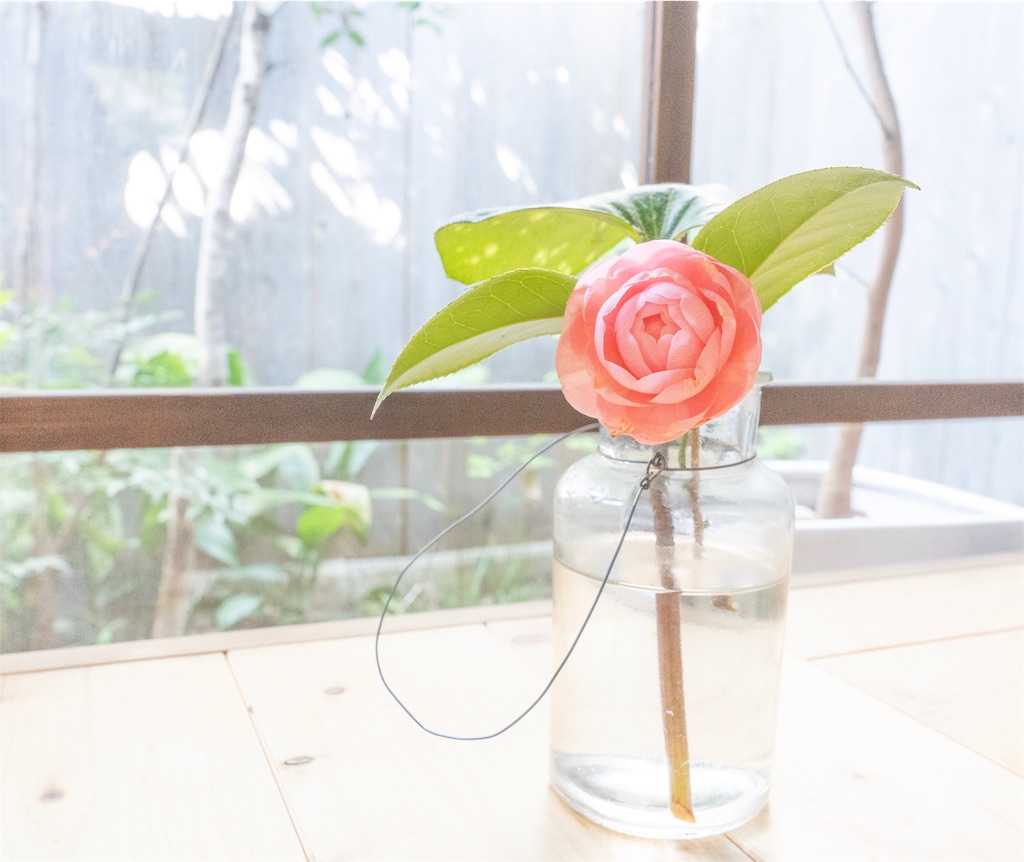 f:id:kira_kira_boshi:20190418162839j:image