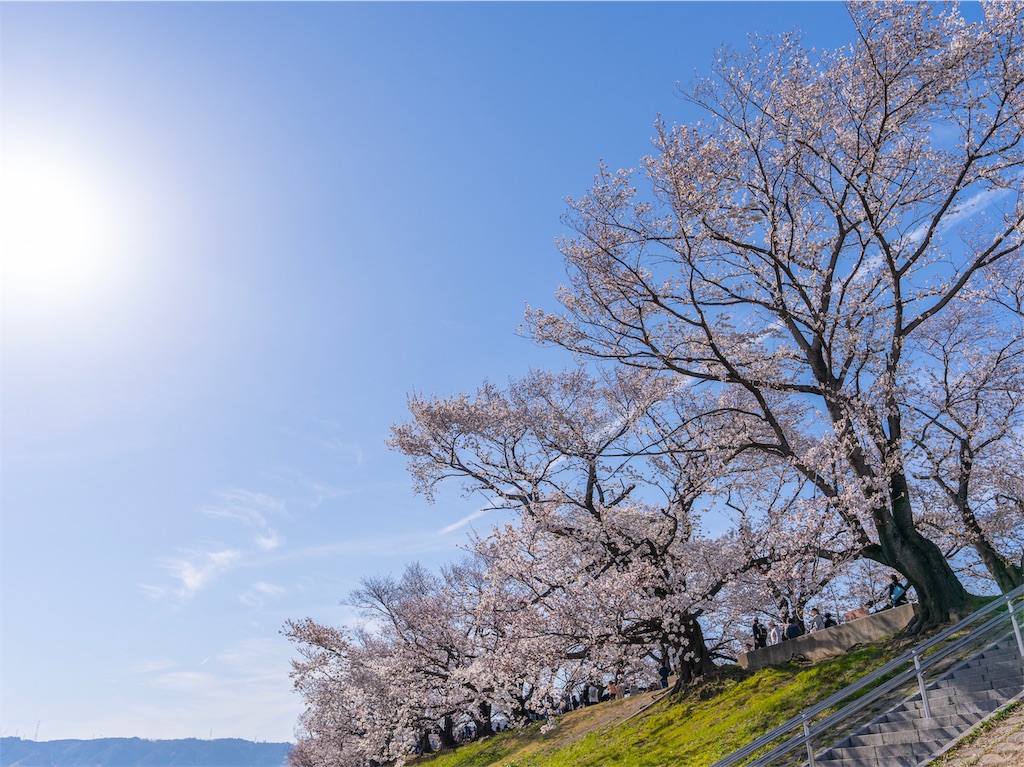 f:id:kira_kira_boshi:20190418163020j:image