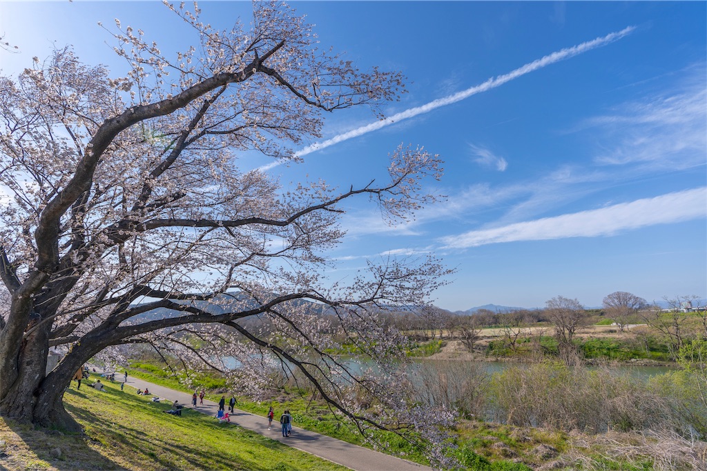 f:id:kira_kira_boshi:20190418163024j:image