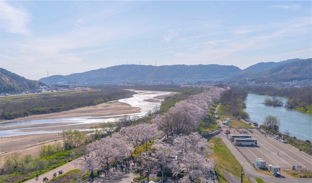 f:id:kira_kira_boshi:20190418163251j:image