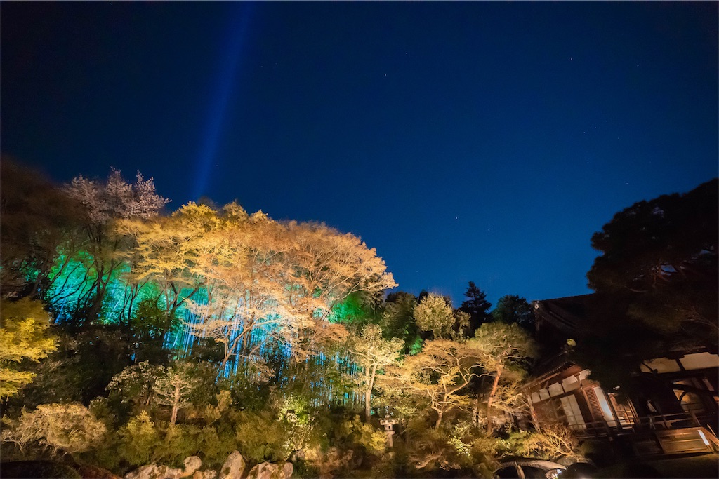 f:id:kira_kira_boshi:20190418163800j:image