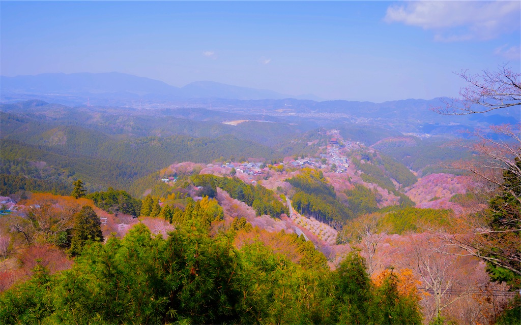 f:id:kira_kira_boshi:20190428171058j:image