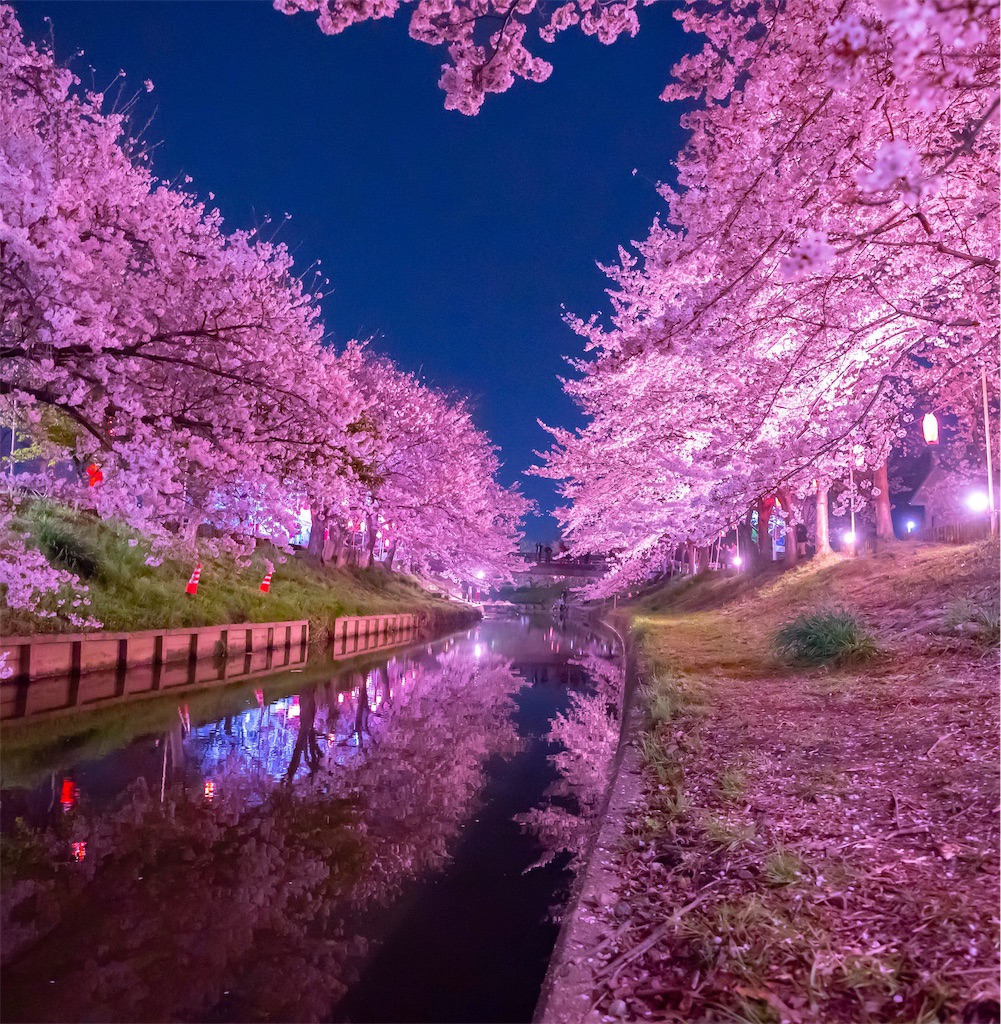 f:id:kira_kira_boshi:20190429112331j:image