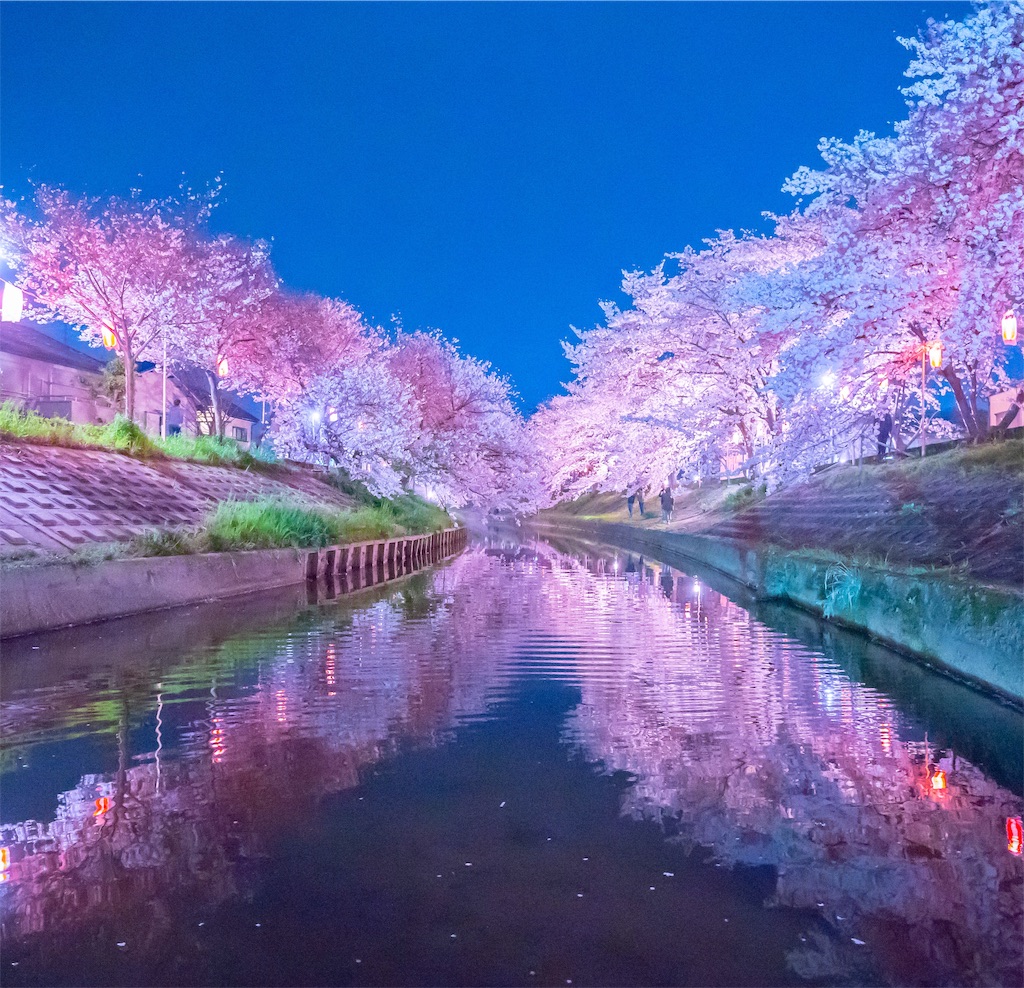 f:id:kira_kira_boshi:20190429112539j:image