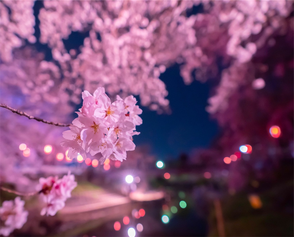 f:id:kira_kira_boshi:20190429112622j:image