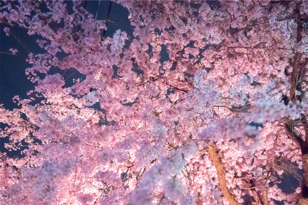 f:id:kira_kira_boshi:20190429112754j:image