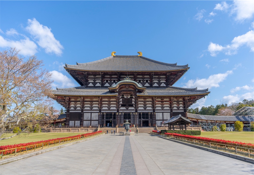 f:id:kira_kira_boshi:20190429113538j:image