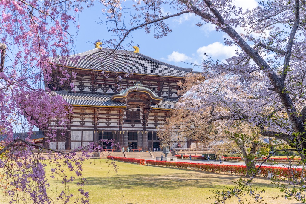f:id:kira_kira_boshi:20190429113547j:image