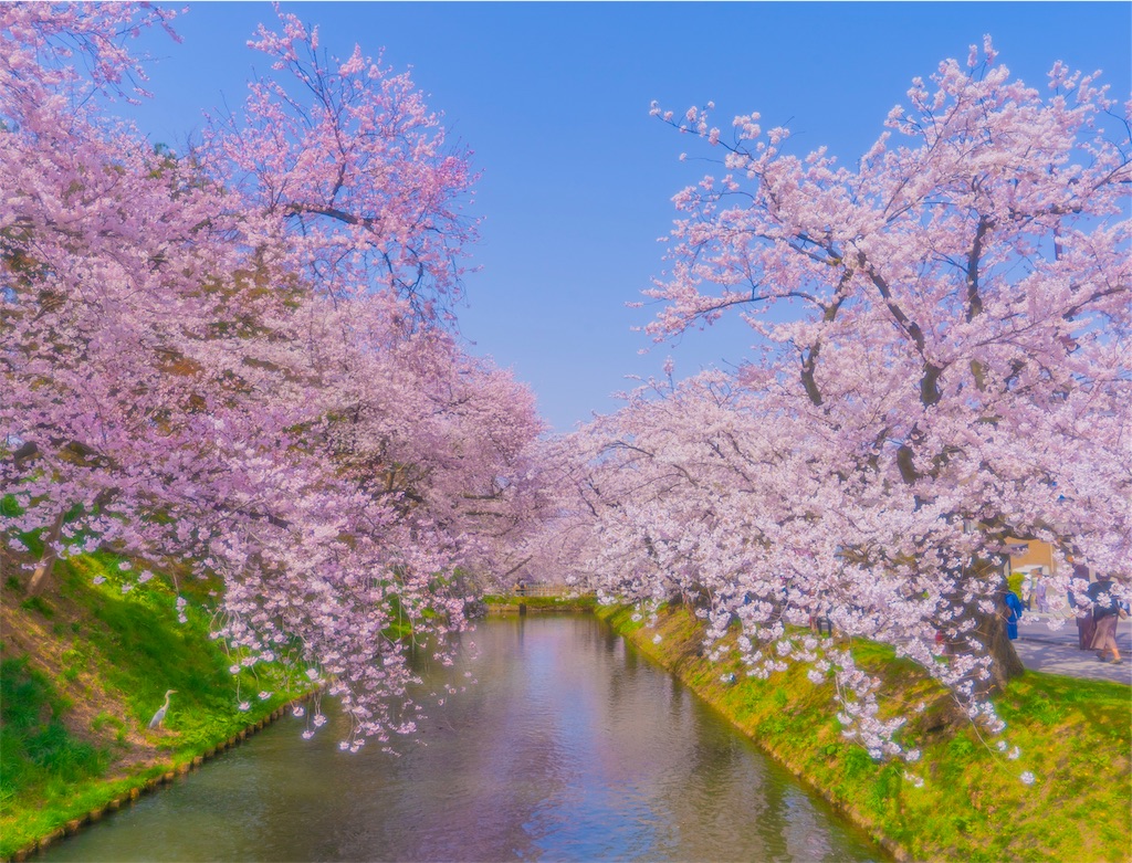 f:id:kira_kira_boshi:20190430183323j:image