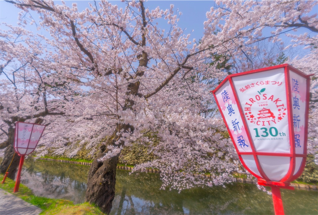 f:id:kira_kira_boshi:20190430183453j:image