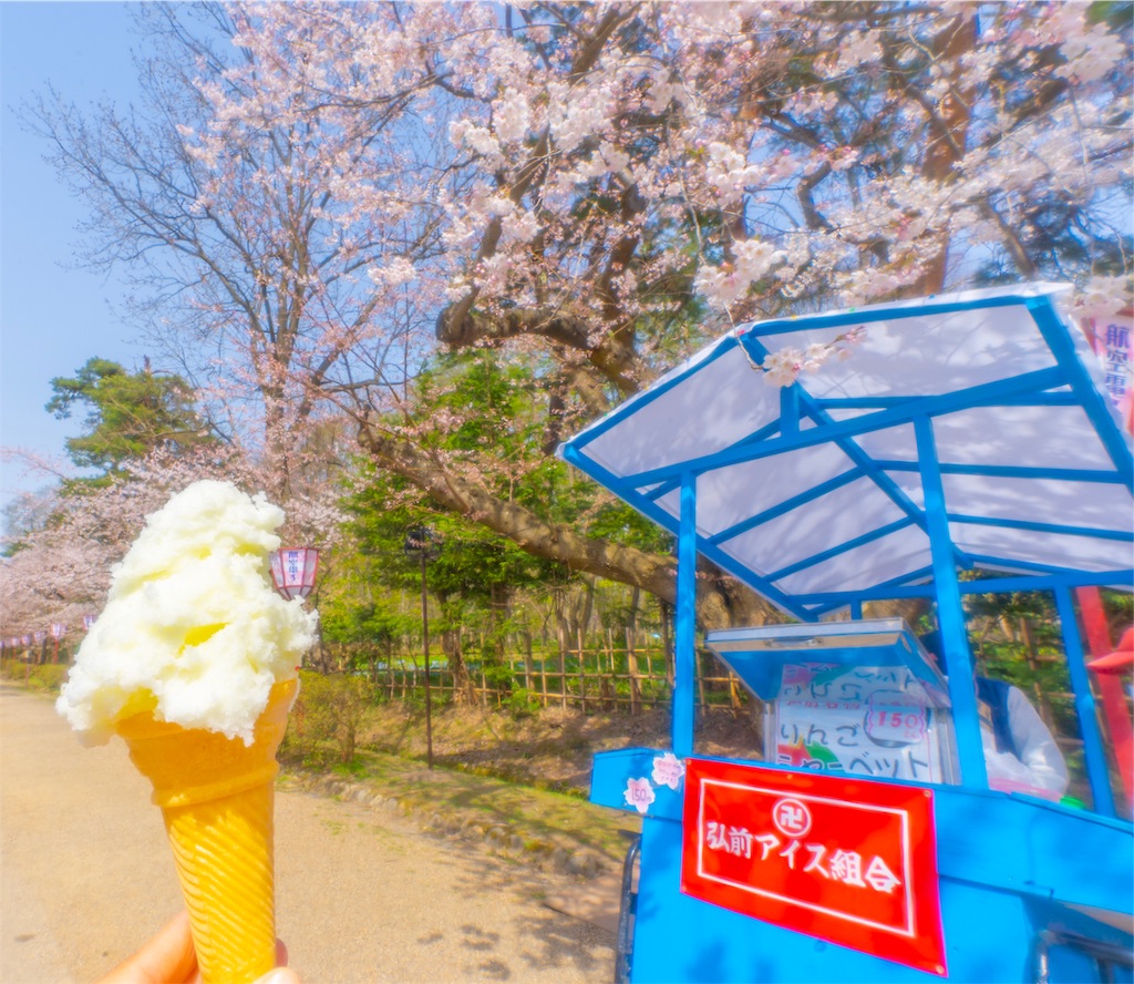 f:id:kira_kira_boshi:20190430183545j:image