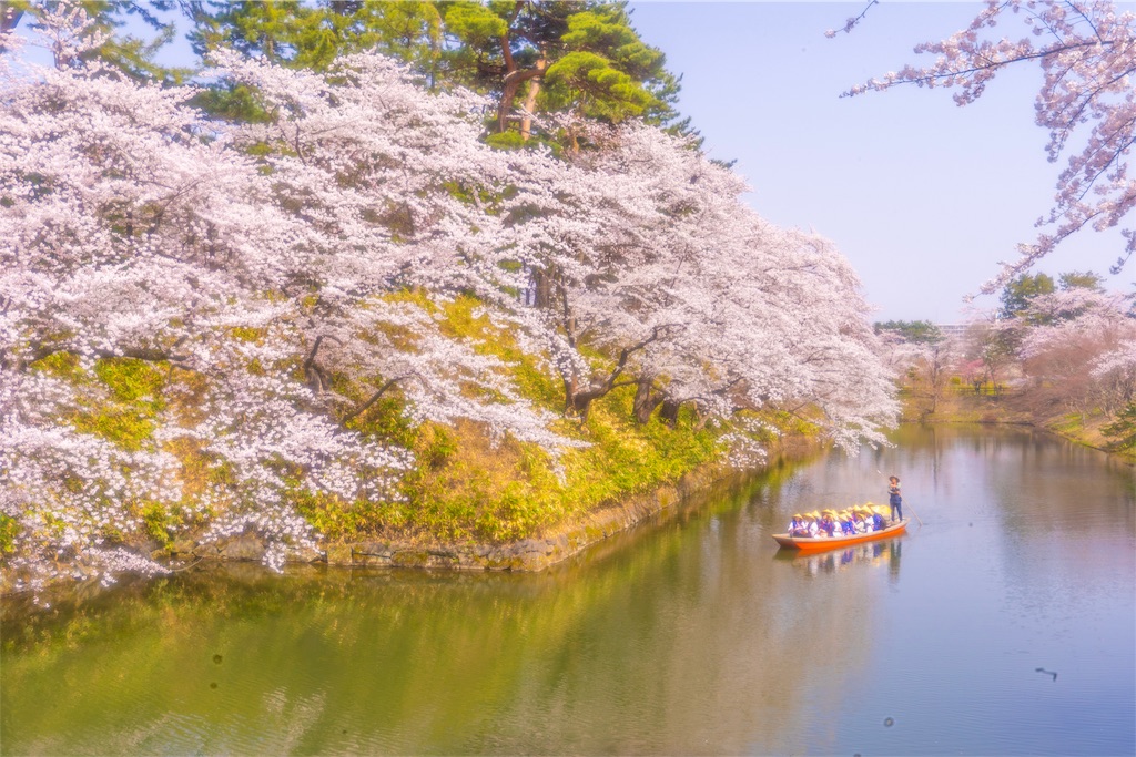 f:id:kira_kira_boshi:20190430183636j:image