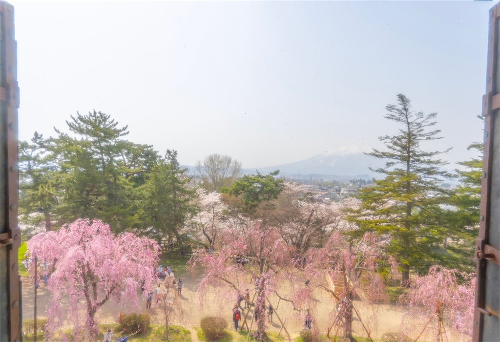 f:id:kira_kira_boshi:20190430190527j:image