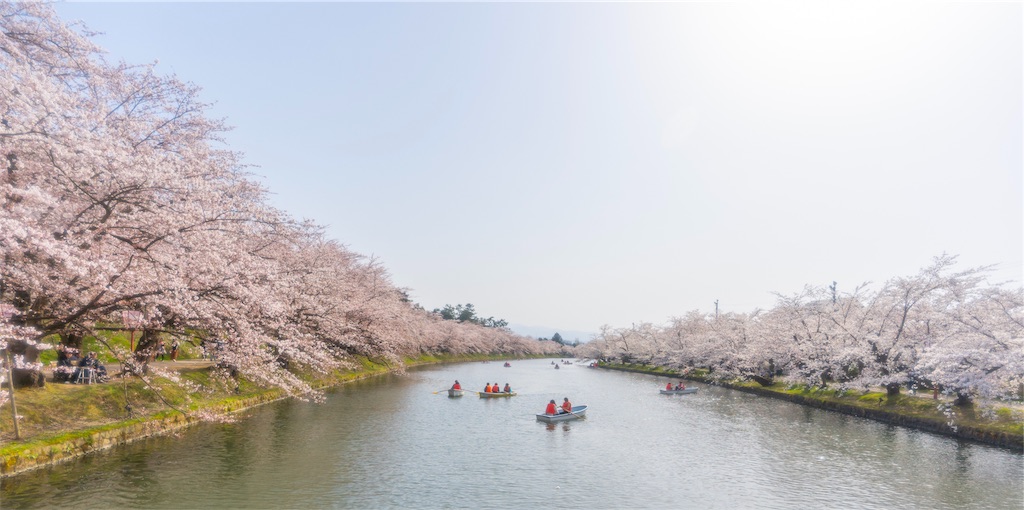 f:id:kira_kira_boshi:20190430191955j:image