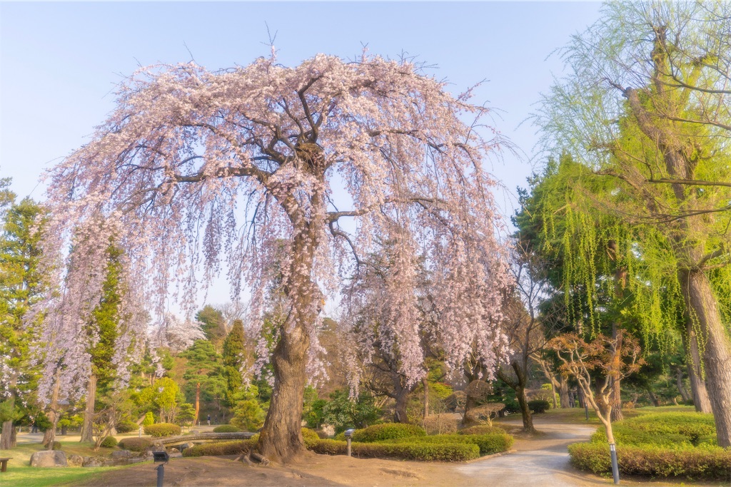 f:id:kira_kira_boshi:20190430192155j:image