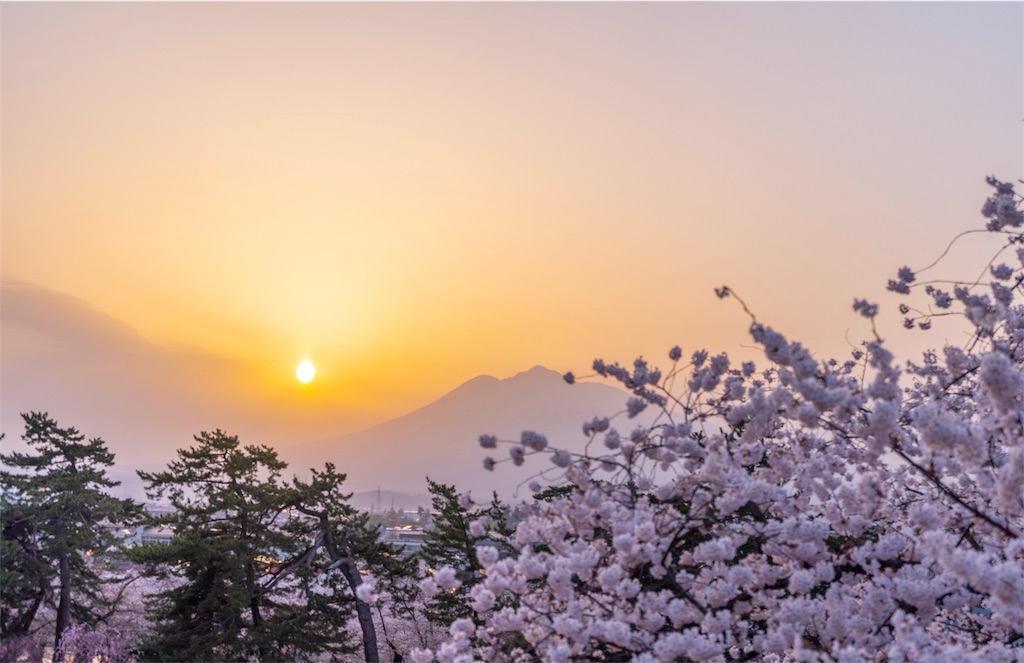 f:id:kira_kira_boshi:20190430192603j:image