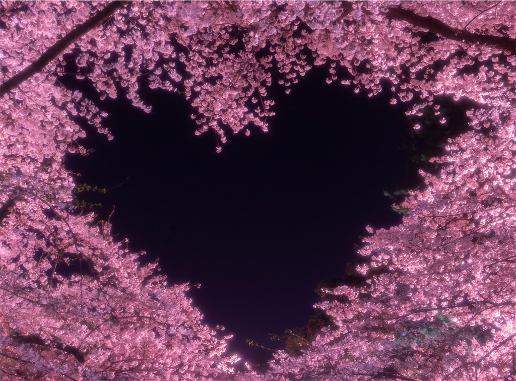 f:id:kira_kira_boshi:20190430192731j:image