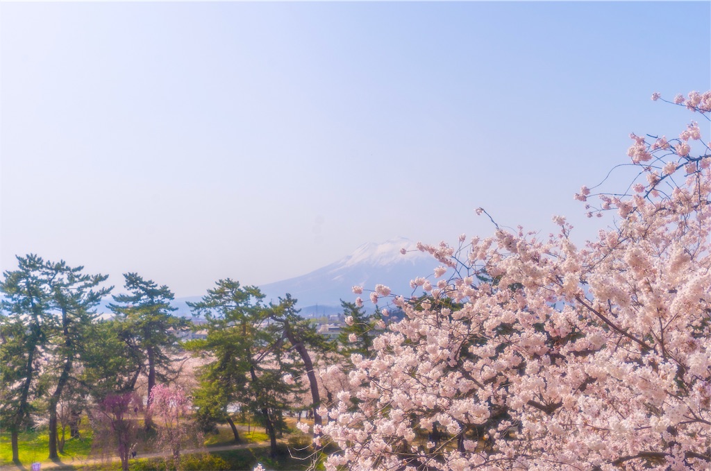 f:id:kira_kira_boshi:20190430193108j:image