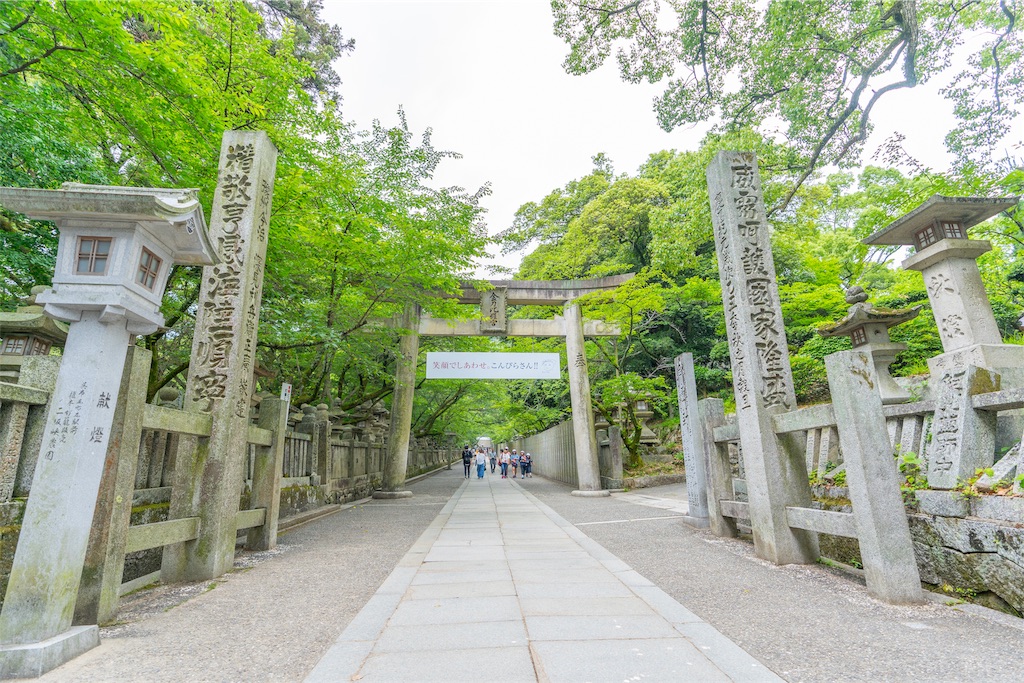 f:id:kira_kira_boshi:20190711121956j:image