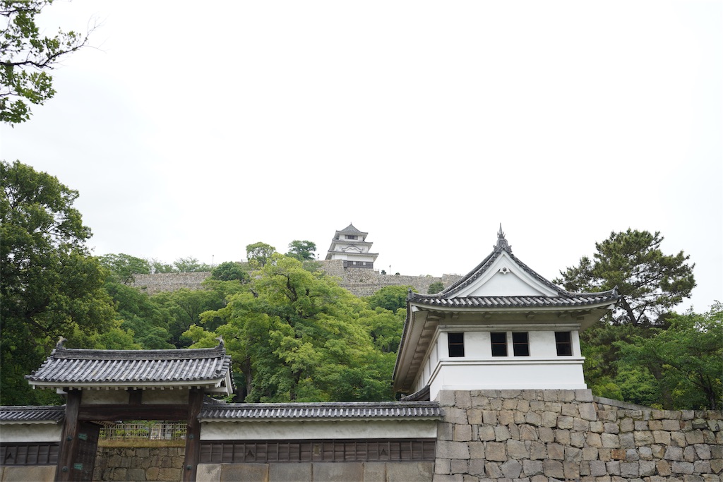 f:id:kira_kira_boshi:20190711122312j:image