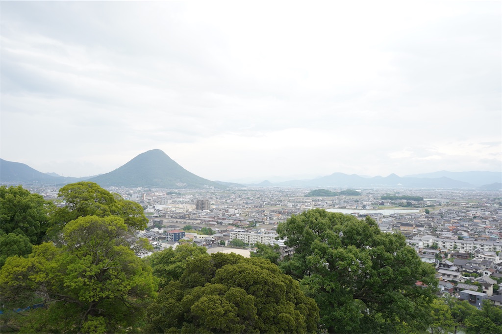 f:id:kira_kira_boshi:20190711122315j:image