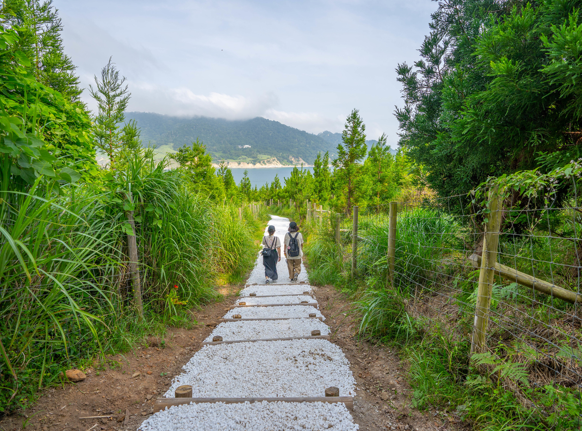 f:id:kira_kira_boshi:20190816141109j:plain f:id:kira_kira_boshi:20190816141109j:plain