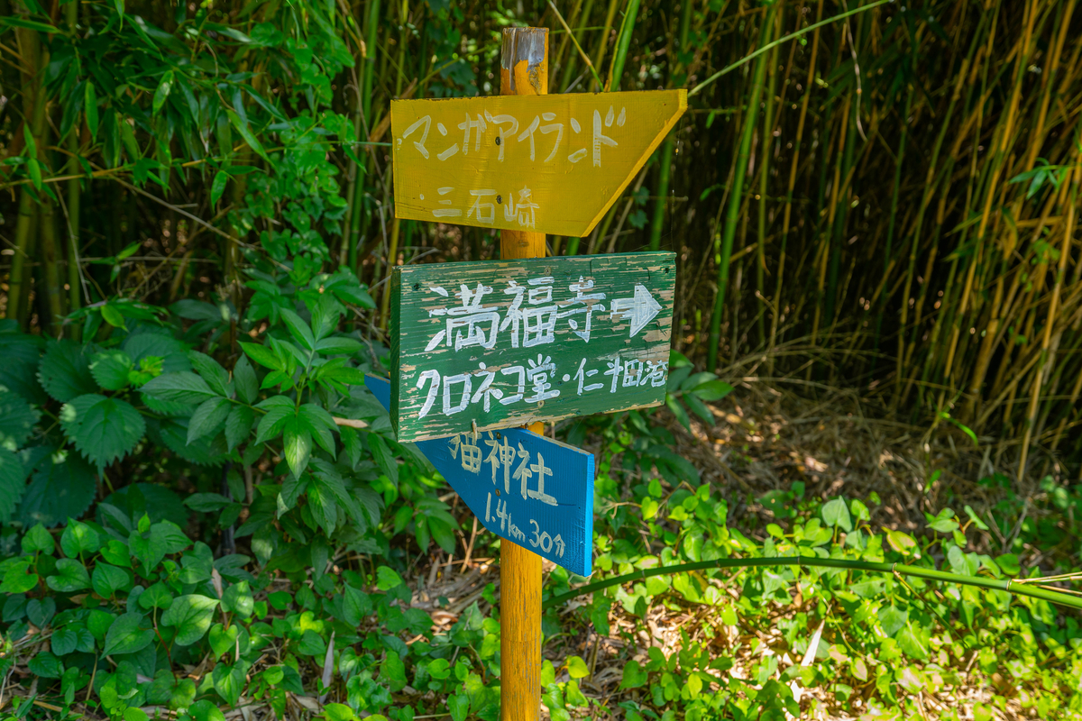 f:id:kira_kira_boshi:20190818111930j:plain