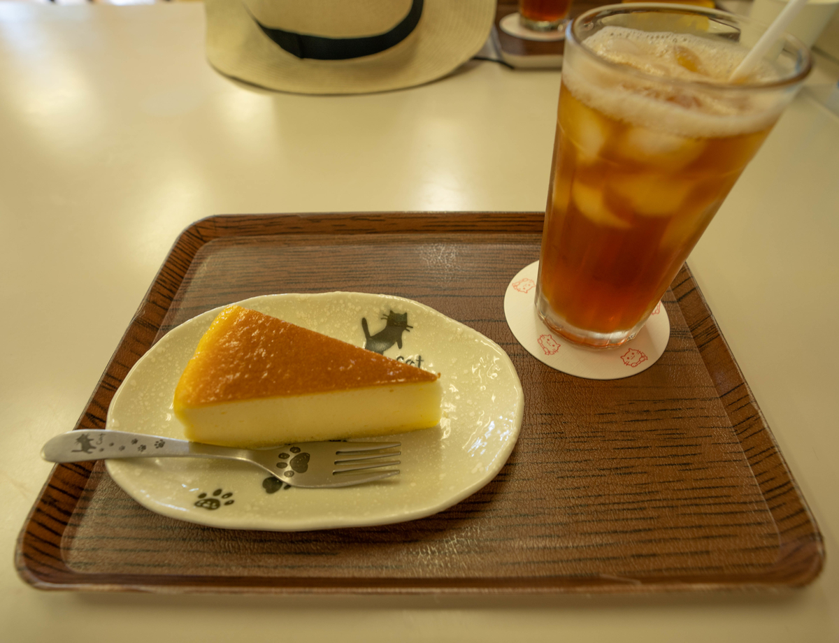f:id:kira_kira_boshi:20190818112506j:plain