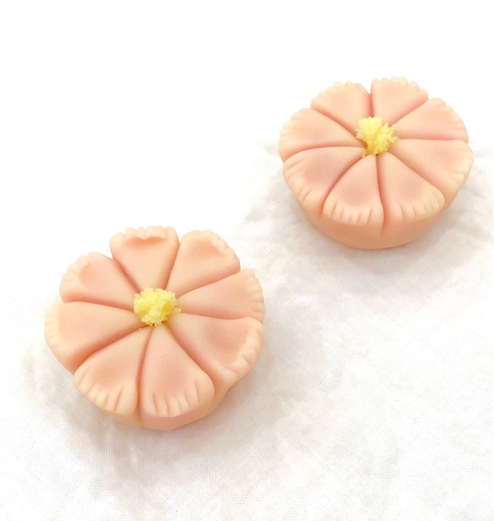 f:id:kira_kira_boshi:20190929225444j:image