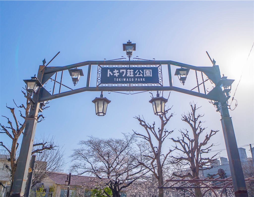 f:id:kira_kira_boshi:20200323082204j:image