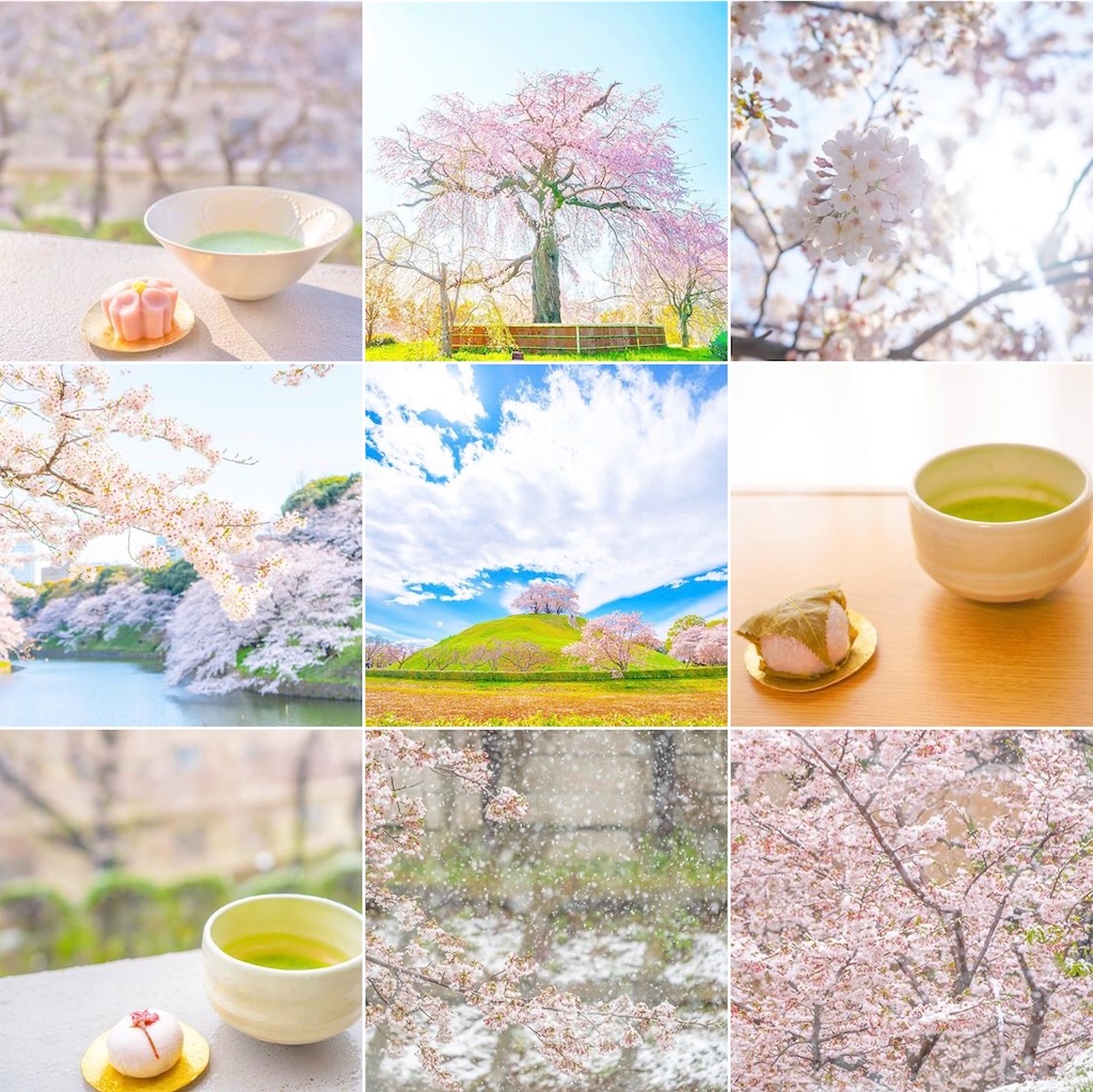 f:id:kira_kira_boshi:20200404181645j:image