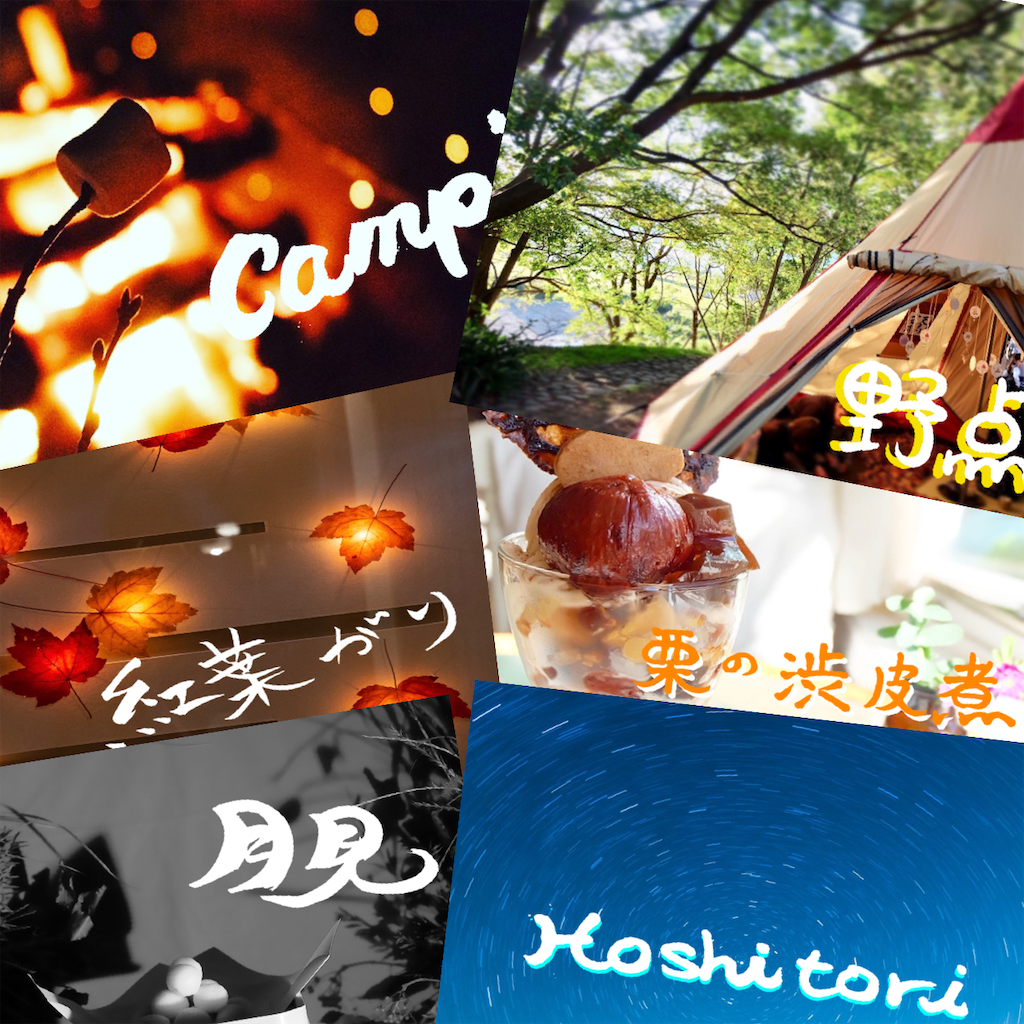 f:id:kira_kira_boshi:20201027185542p:plain