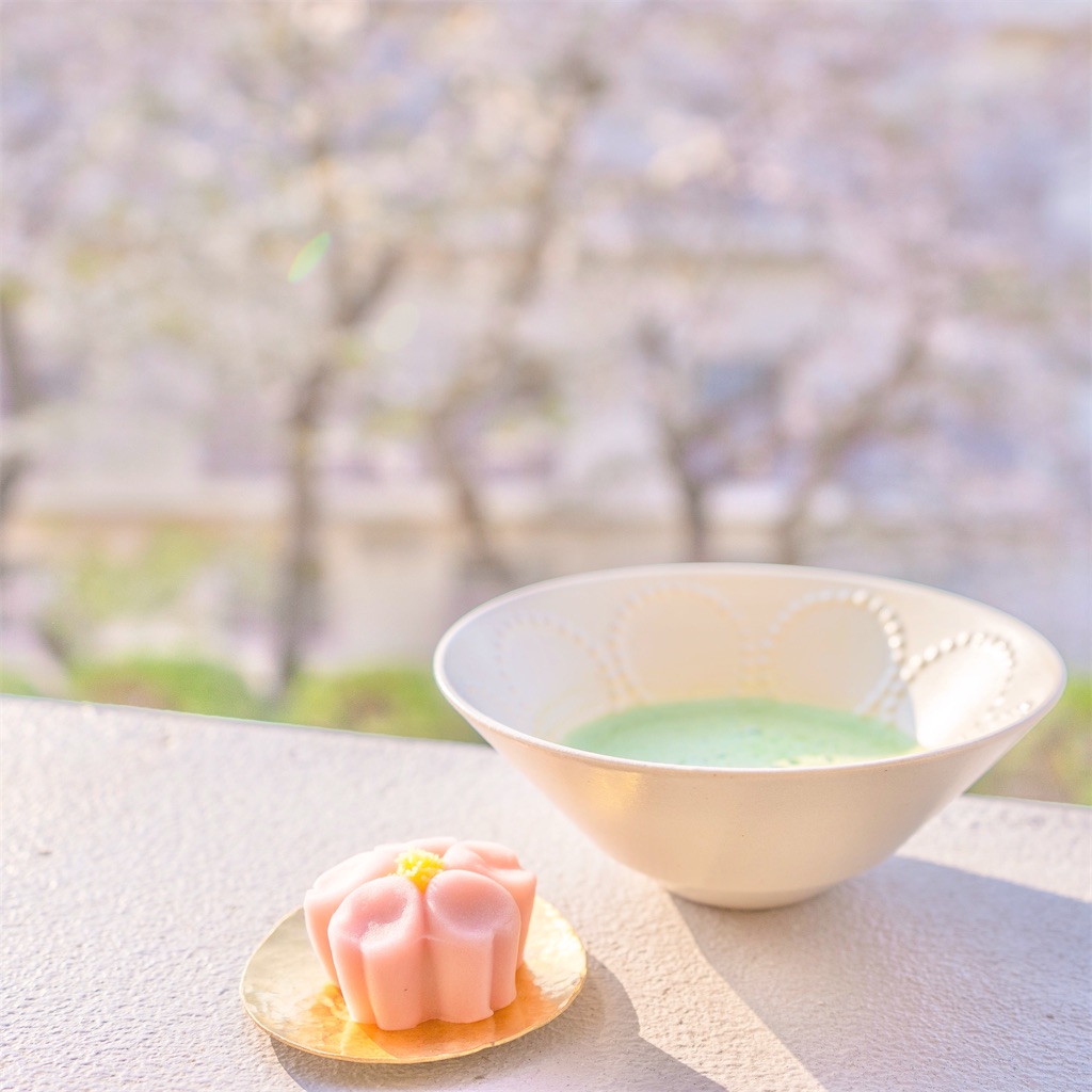 f:id:kira_kira_boshi:20201231234753j:image